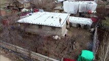 Diyarbakır'da dev uyuşturucu operasyonu: 263 kilo esrar, 135 bin 500 kök kenevir bitkisi ele geçirildi