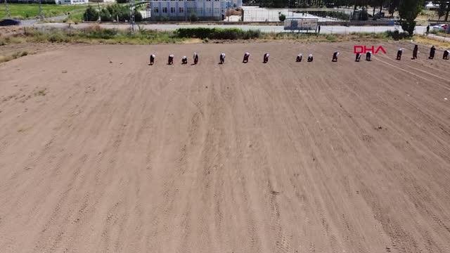 ATA TOHUMLARI VE SEBZE FİDANLARI TOPRAKLA BULUŞTU