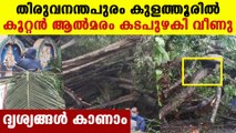 Rain continues at Trivandrum | Oneindia Malayalam