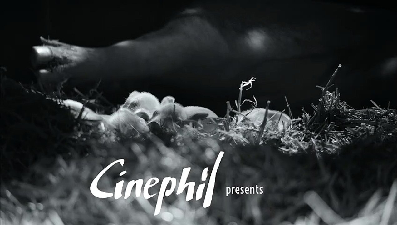 Gunda - Official Trailer -