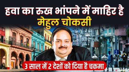 कानून से पहले कैसे हरकत में आ जाता है Mehul Choksi, कैसे पता चलती जाती है अंदर की बात। PNB Scam