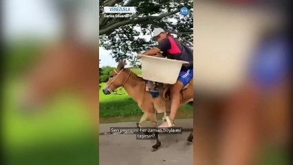Venezuelalı Üretici Peyniri Katır Sırtında Şehre Taşıyor