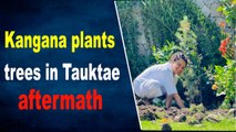 Kangana plants trees in Tauktae aftermath; requests BMC, Gujarat govt to follow suit