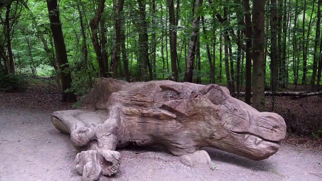 Externsteine Nordrhein-Westfalen
