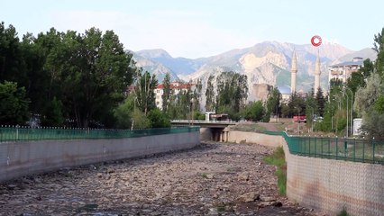 Kurumakta olan Oltu Çayı'nda 3 kurbağanın yaşam mücadelesi kamerada