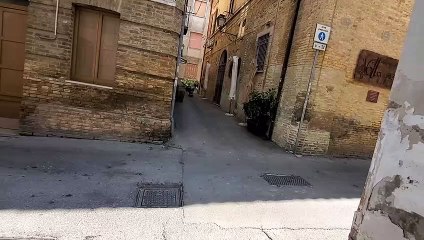 Dog Skates Through Italian Alleys