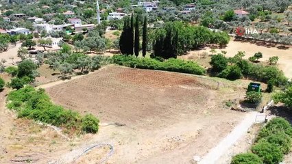 Son dakika yerel: Bodrum'da 200 dönüm arazi tarıma kazandırıldı
