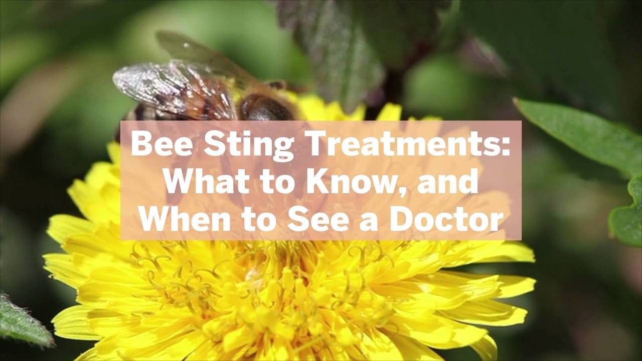 Bee Sting Treatments: What to Know, and When to See a Doctor