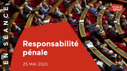 Vers une réforme de l'irresponsabilité pénale suite à l'affaire Sarah Halimi ?