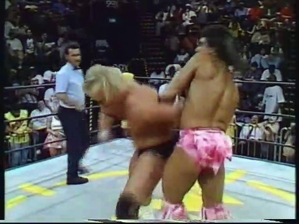 WCW Saturday Night (March 1995) -German commentary-