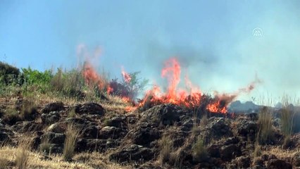 Hatay'da anız yangını 350 dönüm makilik alanda zarara yol açtı