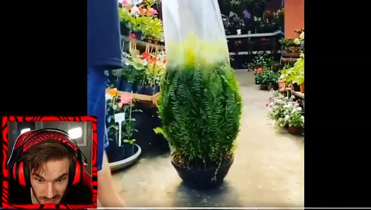 Try Not To Get Satisfied Challenge