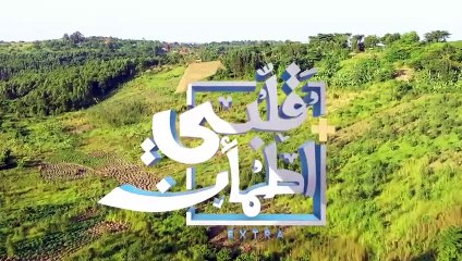 برنامج قلبي اطمأن _ الموسم الإكسترا _ الحلقة 7 _ ماكينة خياطة