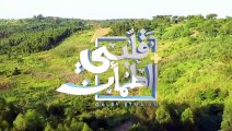 برنامج قلبي اطمأن _ الموسم الإكسترا _ الحلقة 3 _ بقالة السعادة