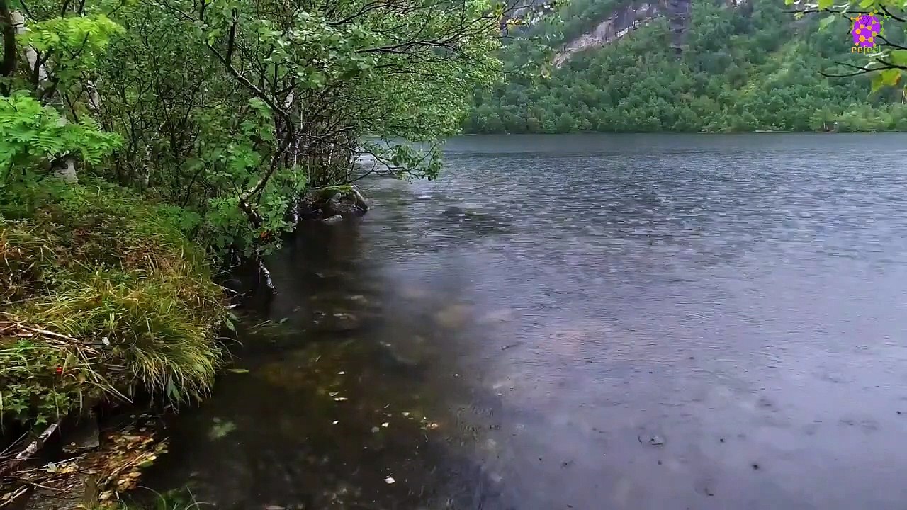 15 Minute Meditation  Music for Stress-Relief | Rain | River |  Relaxation | Study | Sleep | Focus | Concentration | Soothing | Healing | Serene | Calming | Joyful