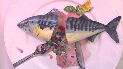 해양쓰레기 심각성을 돌아보는 이색 전시회 / YTN