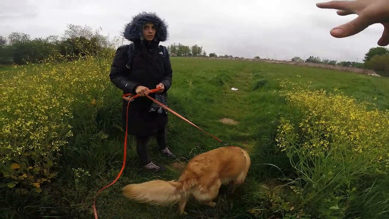 radja