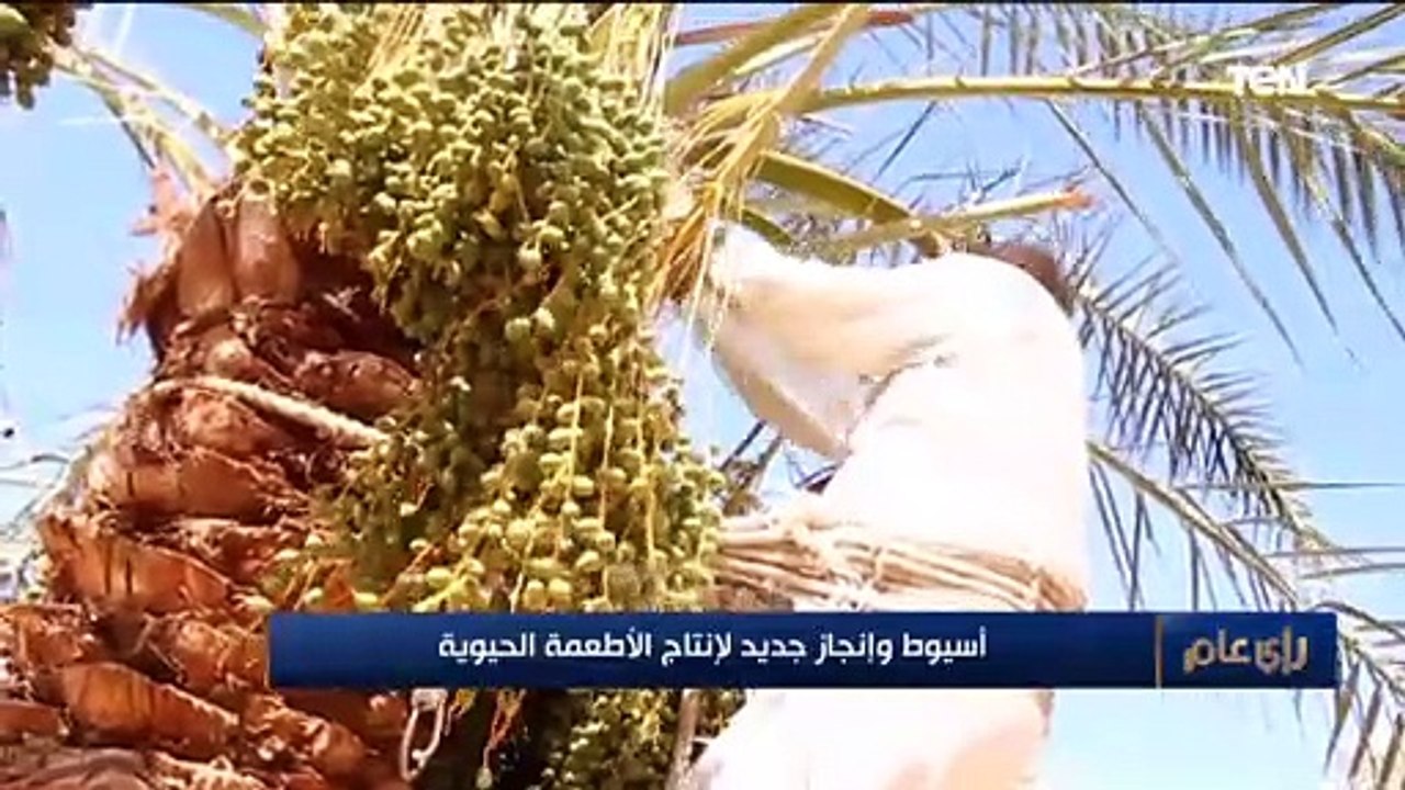 بدون أي كيماويات.. محافظة أسيوط تحقق إنجازًا جديدًا لإنتاج الأطعمة الحيوية