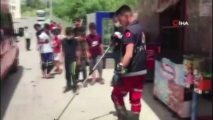 Bakkal dükkanında yılan paniği