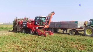 How it's Made Tomato Ketchup | How Tomato Ketchup is made