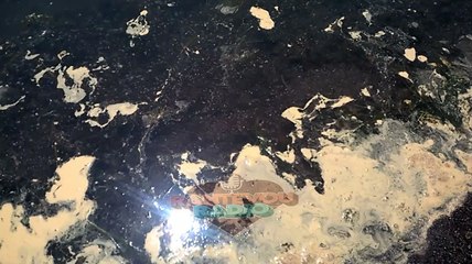 Enas aitos kathotane- Ενας  αετός  καθότανε