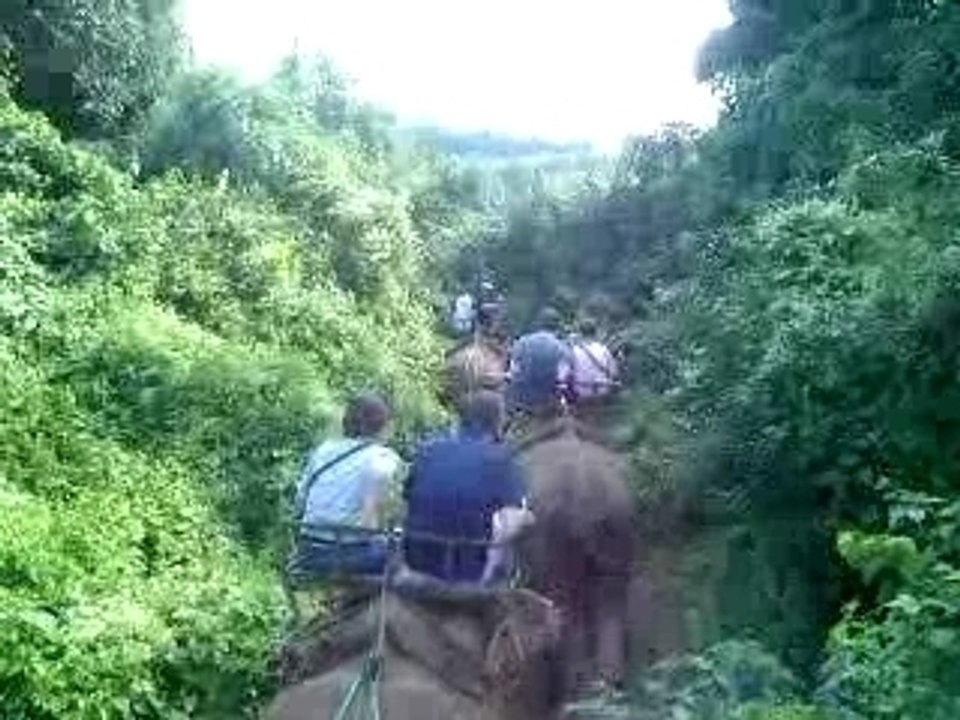 ELEPHANT THAILANDE