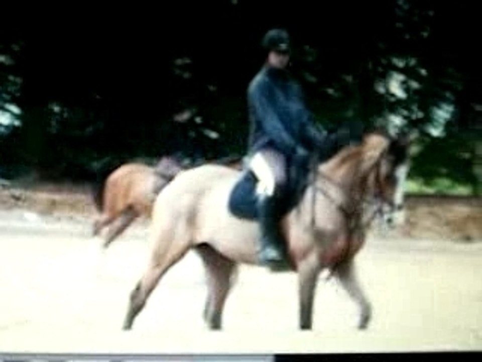 Omphale plat 002