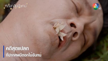 คดีสุดแปลกที่ปากศพมีดอกไม้จันทน์ | ตอกย้ำความสนุก หลงกลิ่นจันทน์ EP.1 | Ch7HD