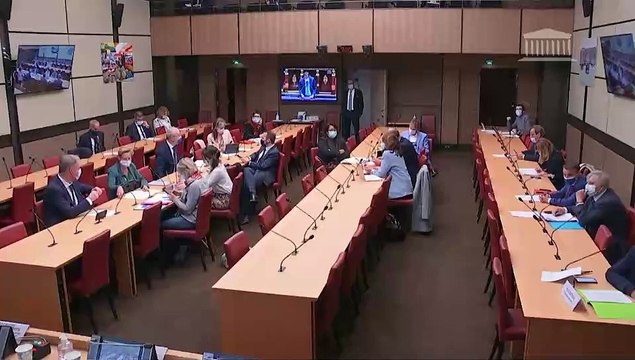 Commission du développement durable : Réduire l’empreinte environnementale du numérique en France - Mardi 25 mai 2021