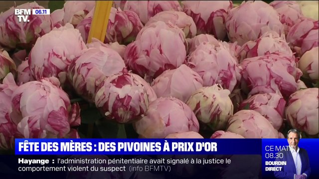 Fêtes des mères: les pivoines se vendent à prix d'or
