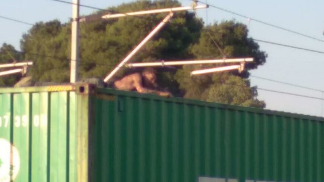 Trenin üzerinde fotoğraf çektirmek isterken akıma kapıldı