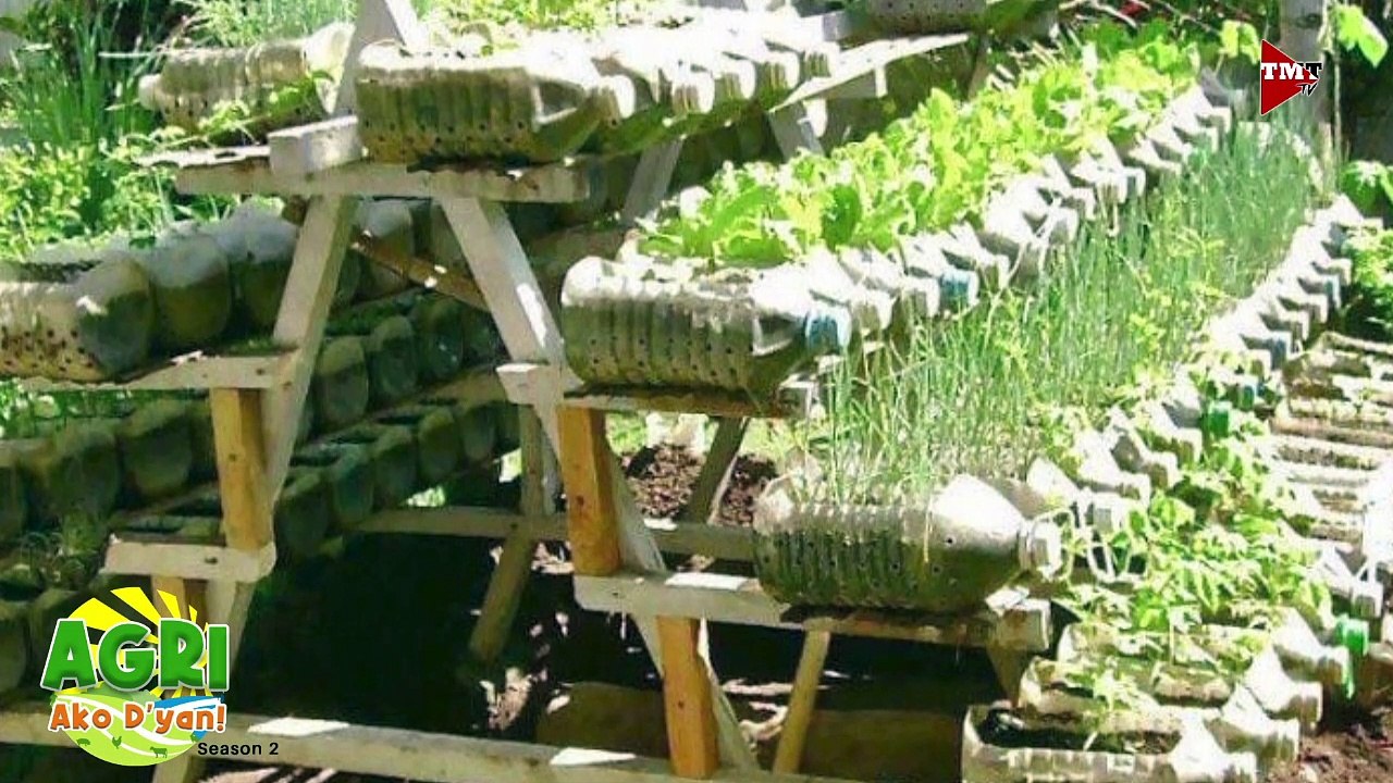 “URBAN CONTAINER GARDENING PART 1” Ep.51 AGRI Ako D’yan