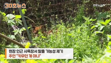 [30초뉴스] 견주 찾으러 개와 사람 대질…"주인이면 행동 달라"
