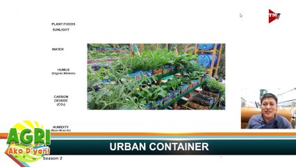 “URBAN CONTAINER GARDENING PART 2” Ep.52 AGRI Ako D’yan