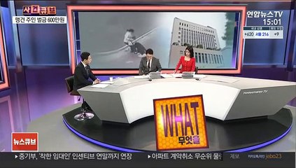 [사건큐브] 소형견 죽인 맹견 주인에 벌금형…죄물손괴 무죄