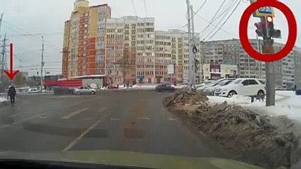 Köpekten insanlara 'trafik' dersi!