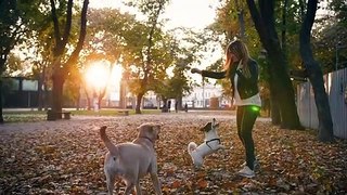 Young woman playing with two dogs in autumn park during sunset, slow motion