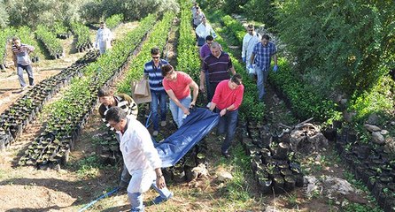 Dokuz yıllık esrarengiz cinayetin faili kiracı çıktı