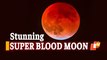 Lunar Eclipse 2021: ‘Super Blood Moon’ Leaves Millions Of Stargazers Mesmerised