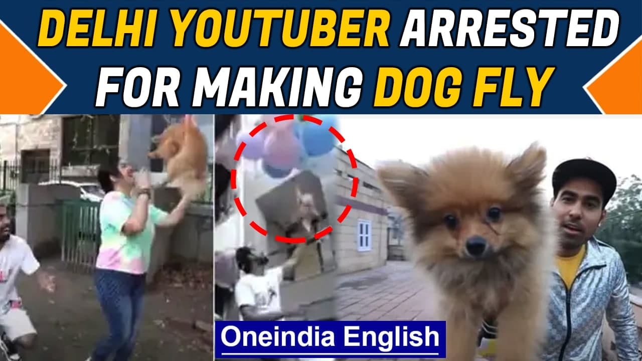 Delhi Youtuber Gaurav John arrested for flying dog using balloons| Animal Cruelty | Oneindia News