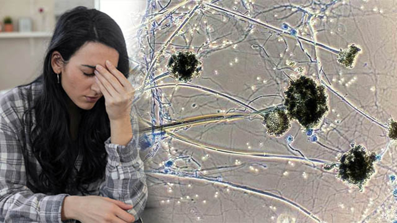 Post Corona Recovery में दिखें ये Symptoms से Black Fungus का खतरा | Boldsky