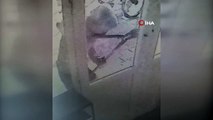 Hırsızlık şüphelileri önce kameraya ardından polise yakalandı