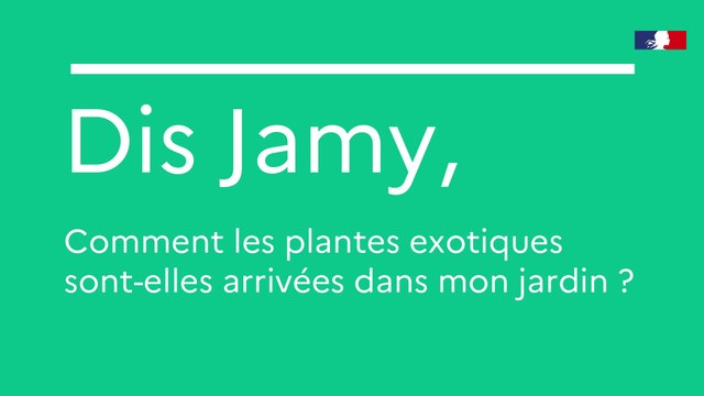 Dis Jamy, comment les plantes exotiques sont-elles arrivées dans mon jardin ?