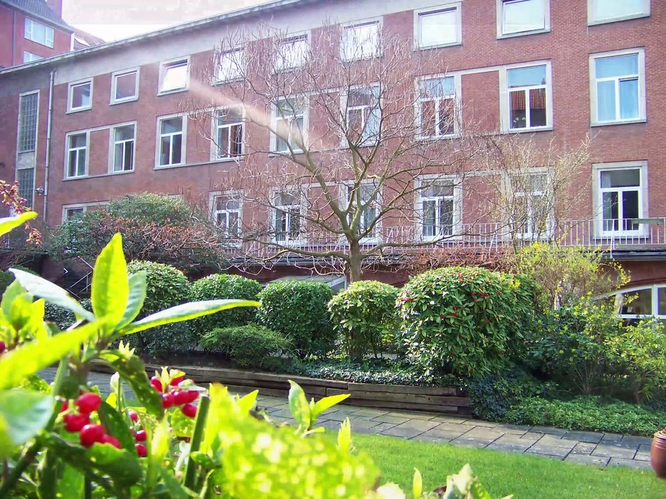 Arrivée de St Joseph à Bruxelles