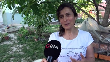 Annesinin reddettiği kuzuyu evinde bebek gibi besliyor
