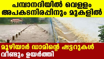 heavy rain in Pathanamthitta causes water raise in rivers | Oneindia Malayalam