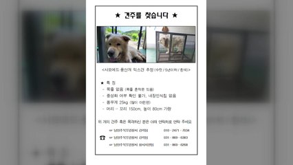 '남양주 개 물림 사고' 현장검증·대질...견주 파악 주력 / YTN
