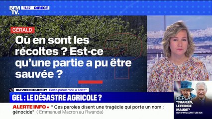 Où en sont les récoltes après l'épisode de gel inédit d'avril dernier ? BFMTV répond à vos questions