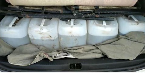 3 ilde eş zamanlı dev operasyon: Binlerce kaçak malzemenin yanı sıra yavru köpekler bile var