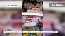 Roma, topo si abbuffa nel bancone della gastronomia di un supermarket a Prati